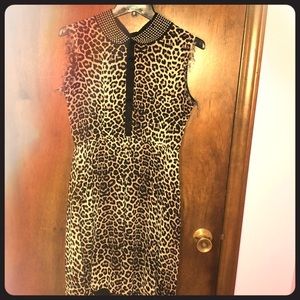 Feel Ferociously Fierce in this Leopard Dress 🐯